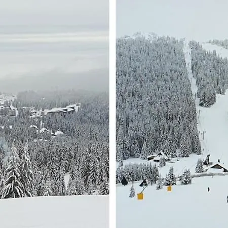 Lägenhet Sunrise Kopaonik