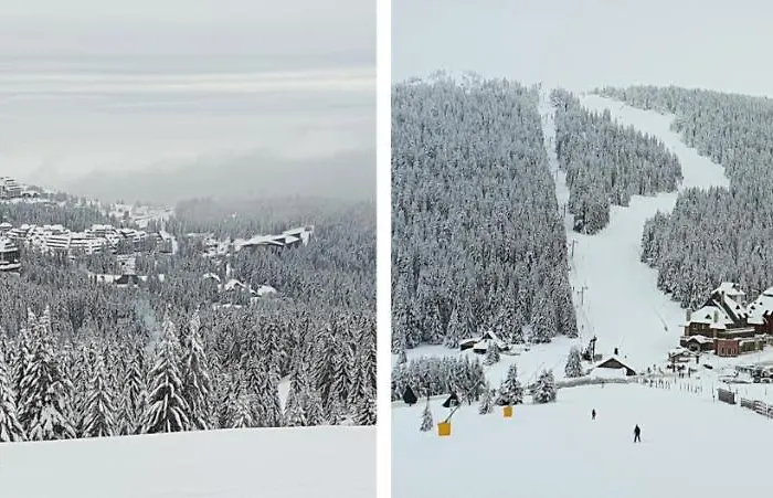 公寓 Sunrise 科帕奥尼克