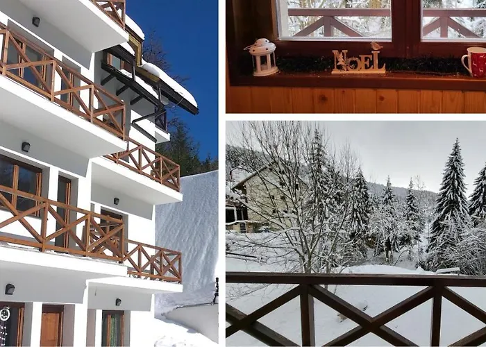 Sunrise 科帕奥尼克