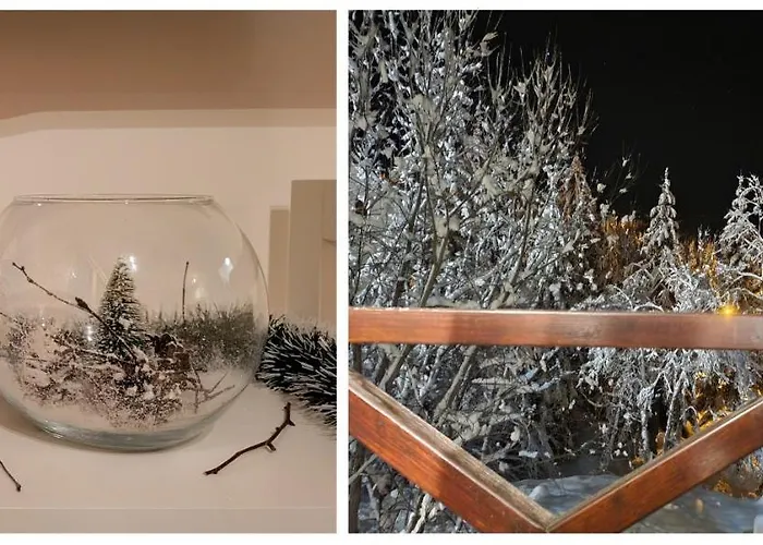 Sunrise 科帕奥尼克